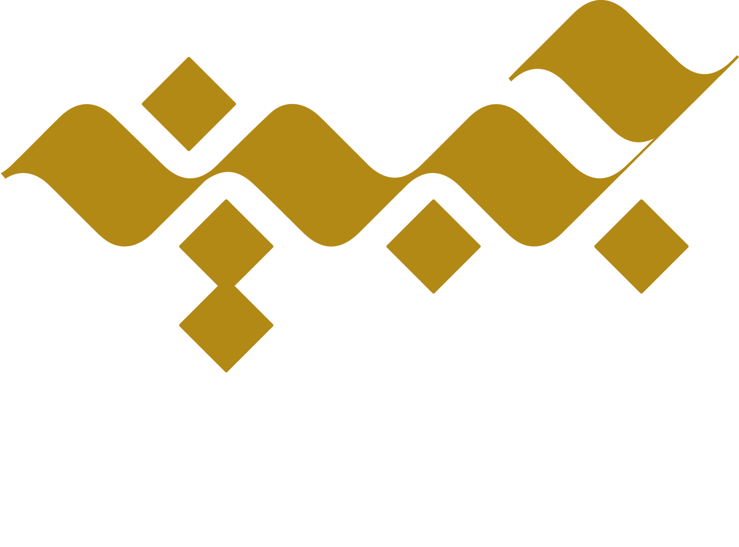 tamheer-program-rqeem-for-smart-solutions